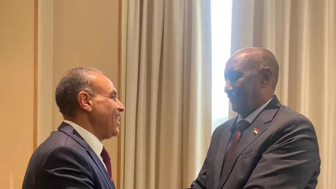 مصر تؤكد استمرار دعمهما للسودان ومؤسساته ووحدة وسلامة أراضيه مصر تؤكد استمرار دعمهما للسودان ومؤسساته ووحدة وسلامة أراضيه