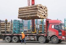 ارتفاع صادرات الخشب الروسي إلى الدول العربية ارتفاع صادرات الخشب الروسي إلى الدول العربية