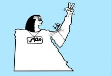 مصر في مواجهة تداعيات احتلال محور صلاح الدين مصر في مواجهة تداعيات احتلال محور صلاح الدين