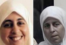 تجديد حبس نجلي الشاطر والبلتاجي ونورهان دراز تجديد حبس نجلي الشاطر والبلتاجي ونورهان دراز