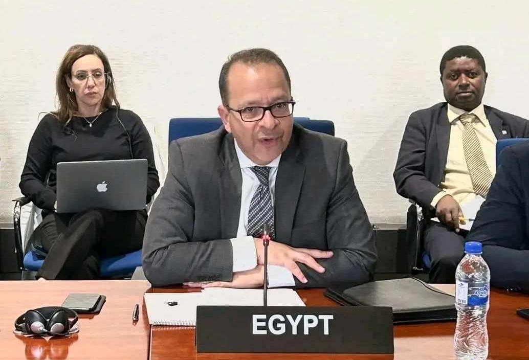 مصر تتولى رئاسة مجلس السلم والأمن الإفريقي خلال شهر أكتوبر 2024 مصر تتولى رئاسة مجلس السلم والأمن الإفريقي خلال شهر أكتوبر 2024