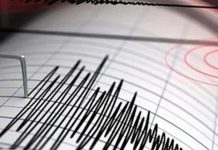 معهد البحوث الفلكية: وقوع زلزال بقوة 4.2 في شرم الشيخ معهد البحوث الفلكية: وقوع زلزال بقوة 4.2 في شرم الشيخ