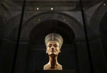 «ألماني استولى عليها».. زاهي حواس يكشف تفاصيل خروج رأس نفرتيتي من مصر «ألماني استولى عليها».. زاهي حواس يكشف تفاصيل خروج رأس نفرتيتي من مصر