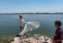 استقطاب مصري لأوغندا لمحاولة احتواء تداعيات اتفاقية عنتيبي استقطاب مصري لأوغندا لمحاولة احتواء تداعيات اتفاقية عنتيبي