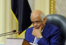 حزب اتحاد مصر الوطني يثير جدلاً بسبب توجهاته القبلية حزب اتحاد مصر الوطني يثير جدلاً بسبب توجهاته القبلية