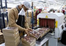 14 عاماً على ثورة 25 يناير في مصر 14 عاماً على ثورة 25 يناير في مصر