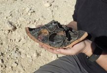 بعثة إسبانية تكشف عن بيض محنط لطائرة أبو منجل بعثة إسبانية تكشف عن بيض محنط لطائرة أبو منجل