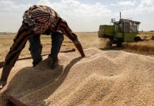 توقعات بتراجع الطلب العالمي على القمح بسبب مشكلات اقتصادية توقعات بتراجع الطلب العالمي على القمح بسبب مشكلات اقتصادية