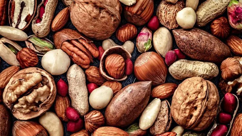 الجوز أم اللوز: أيهما أفضل للذاكرة؟ الجوز أم اللوز: أيهما أفضل للذاكرة؟