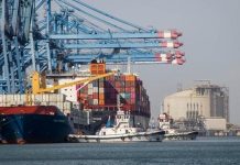 منافسة قوية لميناء دمياط من موانئ المنطقة منافسة قوية لميناء دمياط من موانئ المنطقة