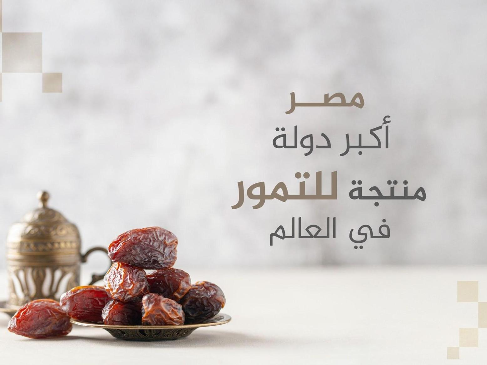 بالأرقام.. العرب أكبر منتجي التمر في العالم بالأرقام.. العرب أكبر منتجي التمر في العالم