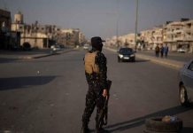 القاهرة تؤكد دعم دمشق في مواجهة التحديات الأمنية القاهرة تؤكد دعم دمشق في مواجهة التحديات الأمنية