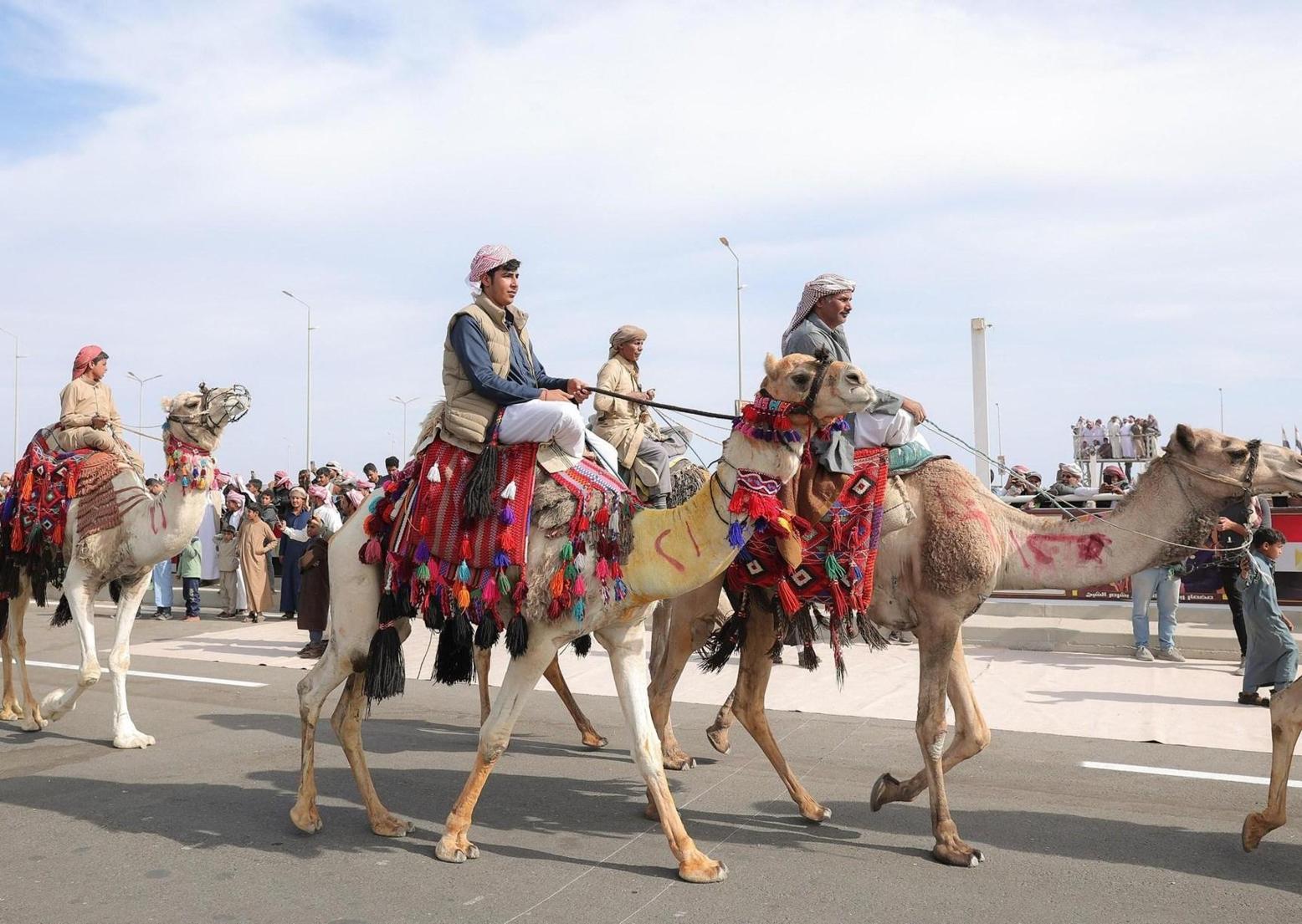 بدو مصر.. انخراط سياسي أم دور اجتماعي؟