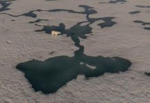 تراجع غير مسبوق في حجم الغطاء الجليدي بالقطب الشمالي تراجع غير مسبوق في حجم الغطاء الجليدي بالقطب الشمالي