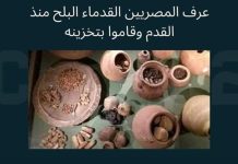 متحف مطار القاهرة يستعرض تاريخ التمر في مصر القديمة متحف مطار القاهرة يستعرض تاريخ التمر في مصر القديمة