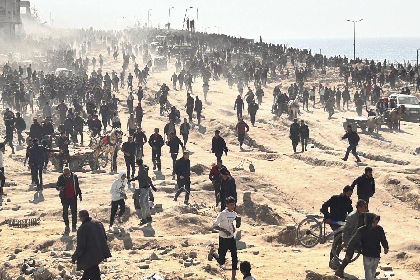 غزة: نأمل في تشكيل إدارة مؤقتة للقطاع وفق الرؤية المصرية غزة: نأمل في تشكيل إدارة مؤقتة للقطاع وفق الرؤية المصرية