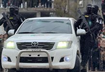 جدل بشأن فتوى عن وجوب الجهاد بالسلاح ضد الاحتلال في فلسطين جدل بشأن فتوى عن وجوب الجهاد بالسلاح ضد الاحتلال في فلسطين