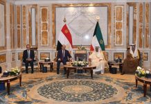 مصر والكويت تشددان على ضرورة وقف النار بشكل فوري في غزة مصر والكويت تشددان على ضرورة وقف النار بشكل فوري في غزة