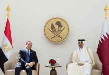 مصطفى مشهور: استثمارات قطر بوابة لشراكة عربية أعمق مصطفى مشهور: استثمارات قطر بوابة لشراكة عربية أعمق