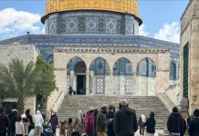 مصر تستنكر دعوات إسرائيلية “تحريضية” لتفجير المسجد الأقصى مصر تستنكر دعوات إسرائيلية "تحريضية" لتفجير المسجد الأقصى