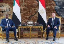 السيسي والبرهان يؤكدان رفضهما “الإجراءات الأحادية” بحوض النيل السيسي والبرهان يؤكدان رفضهما "الإجراءات الأحادية" بحوض النيل