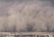 مصر تستبق منخفضا خماسينيا بتعطيل الدراسة ورفع الاستعدادات مصر تستبق منخفضا خماسينيا بتعطيل الدراسة ورفع الاستعدادات