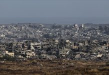 مصر وباكستان تؤكدان ضرورة الوقف “الفوري” لإطلاق النار بغزة مصر وباكستان تؤكدان ضرورة الوقف "الفوري" لإطلاق النار بغزة