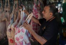 ركود حاد بأسواق أضاحي مصر.. وقفزات غير مسبوقة بالأسعار ركود حاد بأسواق أضاحي مصر.. وقفزات غير مسبوقة بالأسعار