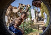 عيد الأضحى في مصر… فرحة الصغار تتجاوز مشكلات الكبار عيد الأضحى في مصر... فرحة الصغار تتجاوز مشكلات الكبار