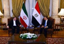 مصر وإيران… تقارب الضرورة وشراكة محتملة مصر وإيران... تقارب الضرورة وشراكة محتملة