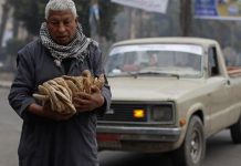 معاناة المتقاعدين.. 80% من أصحاب المعاشات تحت خط الفقر معاناة المتقاعدين.. 80% من أصحاب المعاشات تحت خط الفقر