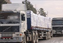 إعلام مصري: عشرات من شاحنات المساعدات تتجه إلى غزة إعلام مصري: عشرات من شاحنات المساعدات تتجه إلى غزة