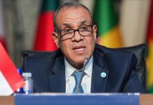 عبد العاطي: يجب تدشين مسار تفاوضي للتوصل إلى حل الدولتين عبد العاطي: يجب تدشين مسار تفاوضي للتوصل إلى حل الدولتين