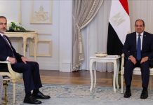 السيسي وفيدان يرفضان قرار إسرائيل احتلال غزة وتهجير الفلسطينيين السيسي وفيدان يرفضان قرار إسرائيل احتلال غزة وتهجير الفلسطينيين