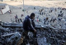 مصر والجزائر تؤكدان ضرورة التوصل لاتفاق شامل لوقف الإبادة بغزة مصر والجزائر تؤكدان ضرورة التوصل لاتفاق شامل لوقف الإبادة بغزة