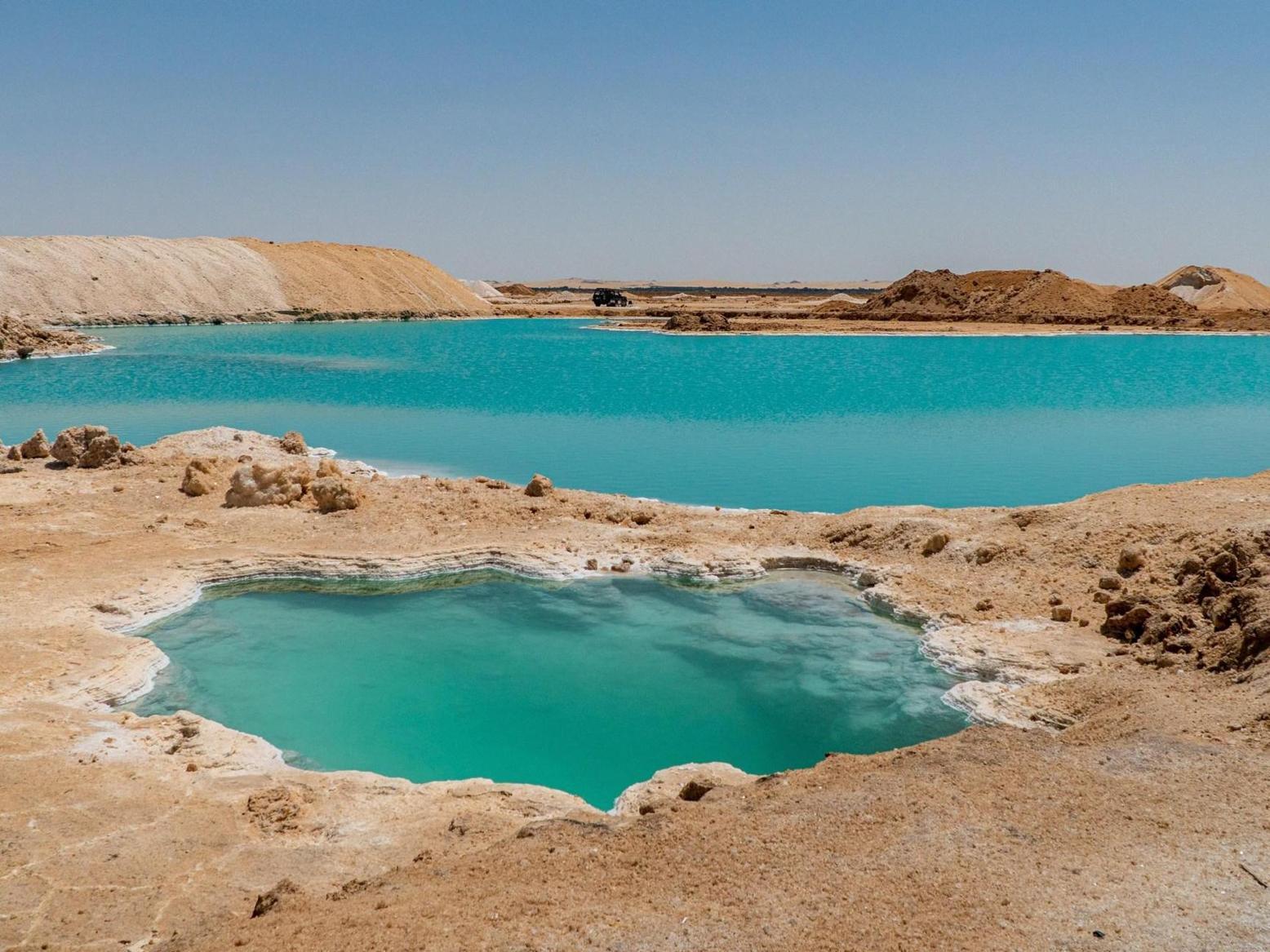كائن مصري يعيش حيث لا يستطيع أي كائن آخر أن يحيا أبدا