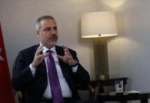 فيدان: العلاقات التركية المصرية في أفضل مستوياتها بالتاريخ الحديث فيدان: العلاقات التركية المصرية في أفضل مستوياتها بالتاريخ الحديث