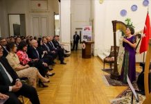 القاهرة.. حفل قيثارة في السفارة التركية بمئوية العلاقات بين البلدين القاهرة.. حفل قيثارة في السفارة التركية بمئوية العلاقات بين البلدين