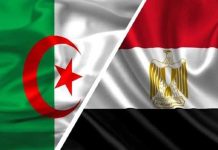 مدبولي يجري مكالمة هاتفية مع نظيره الجزائري مدبولي يجري مكالمة هاتفية مع نظيره الجزائري