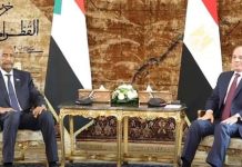 البرهان والسيسي يبحثان تعزيز التعاون وتطورات السودان البرهان والسيسي يبحثان تعزيز التعاون وتطورات السودان