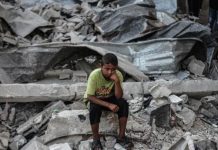 حملة تبرعات مصرية لإعمار غزة… ومكاسب اقتصادية حملة تبرعات مصرية لإعمار غزة... ومكاسب اقتصادية