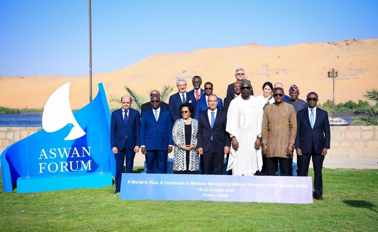 المليجي: إفريقيا أمام فرصة لإعادة صياغة النظام الدولي المليجي: إفريقيا أمام فرصة لإعادة صياغة النظام الدولي