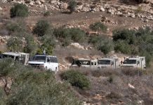 رفض مصري أوروبي لتوسيع المستوطنات ومحاولات إسرائيل ضم الضفة رفض مصري أوروبي لتوسيع المستوطنات ومحاولات إسرائيل ضم الضفة