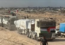 إعلام مصري: تسيير 50 شاحنة مساعدات لمناطق شمال غزة إعلام مصري: تسيير 50 شاحنة مساعدات لمناطق شمال غزة