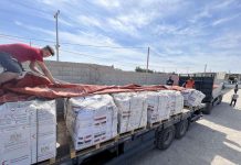 مصر ترسل الآلاف من أطنان المساعدات إلى غزة مصر ترسل الآلاف من أطنان المساعدات إلى غزة