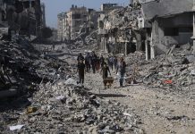 بينها مصر.. واشنطن تعلن قائمة دول قوة الاستقرار الدولية في غزة بينها مصر.. واشنطن تعلن قائمة دول قوة الاستقرار الدولية في غزة