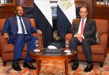 وزيرا خارجية مصر والسودان يبحثان التطورات بالفاشر وزيرا خارجية مصر والسودان يبحثان التطورات بالفاشر