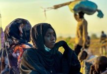 تحركات مصرية على صعيد الأزمة السودانية تحركات مصرية على صعيد الأزمة السودانية