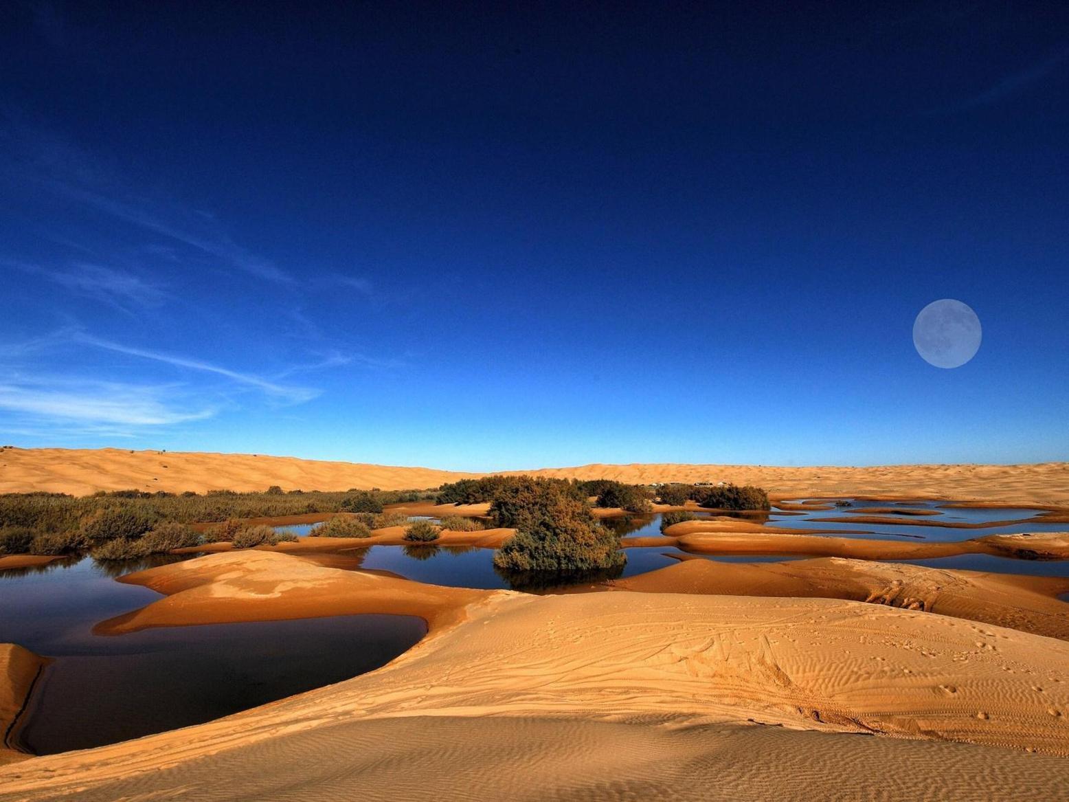 دراسة تتوقع زيادة بـ75% في هطول الأمطار بالصحراء الكبرى دراسة تتوقع زيادة بـ75% في هطول الأمطار بالصحراء الكبرى