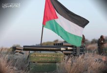 يسري عبيد: لا يوجد تهريب أسلحة من مصر إلى غزة يسري عبيد: لا يوجد تهريب أسلحة من مصر إلى غزة